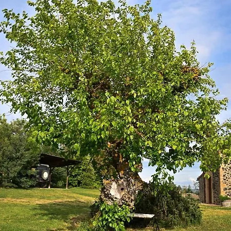 Casa Lattuada 奥维多