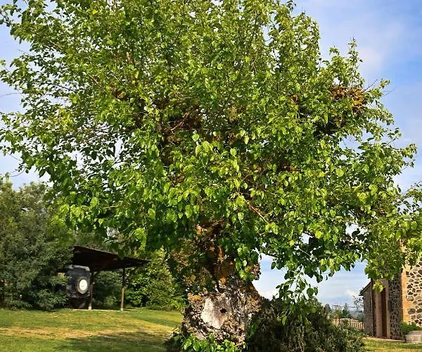 Casa Lattuada Orvieto